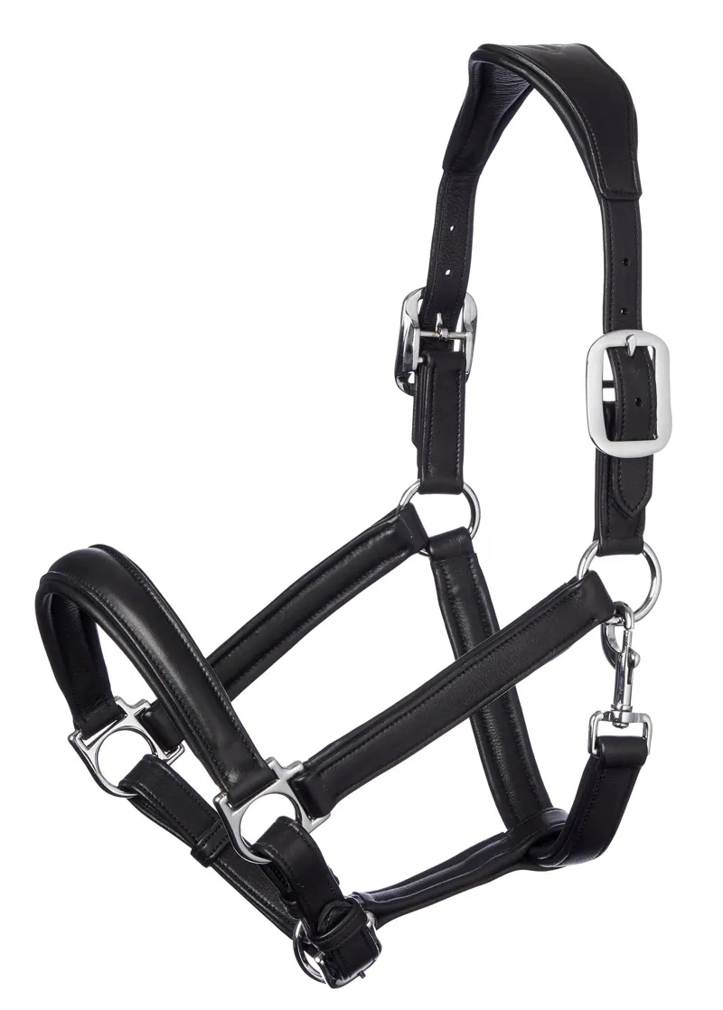 LeMieux Anatomic Headcollar in Black